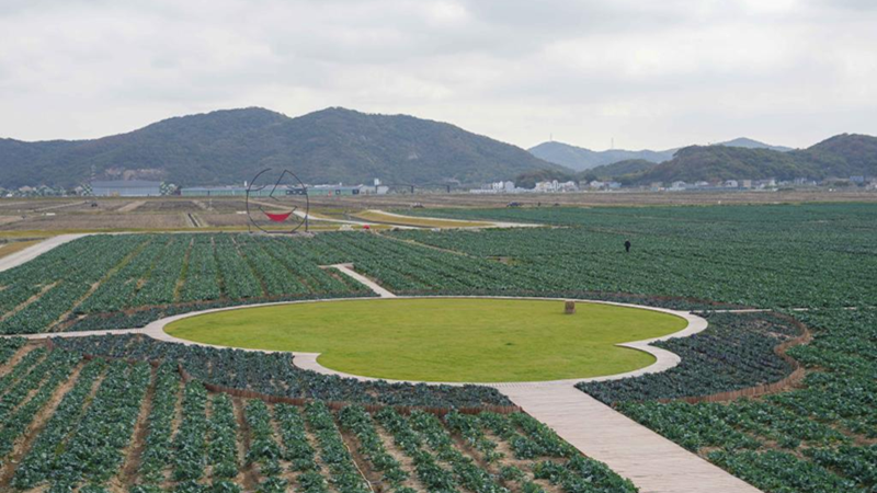 浙農(nóng)科技岱山運(yùn)營(yíng)項(xiàng)目獲人民日?qǐng)?bào)、新華社、央視等主流媒體關(guān)注